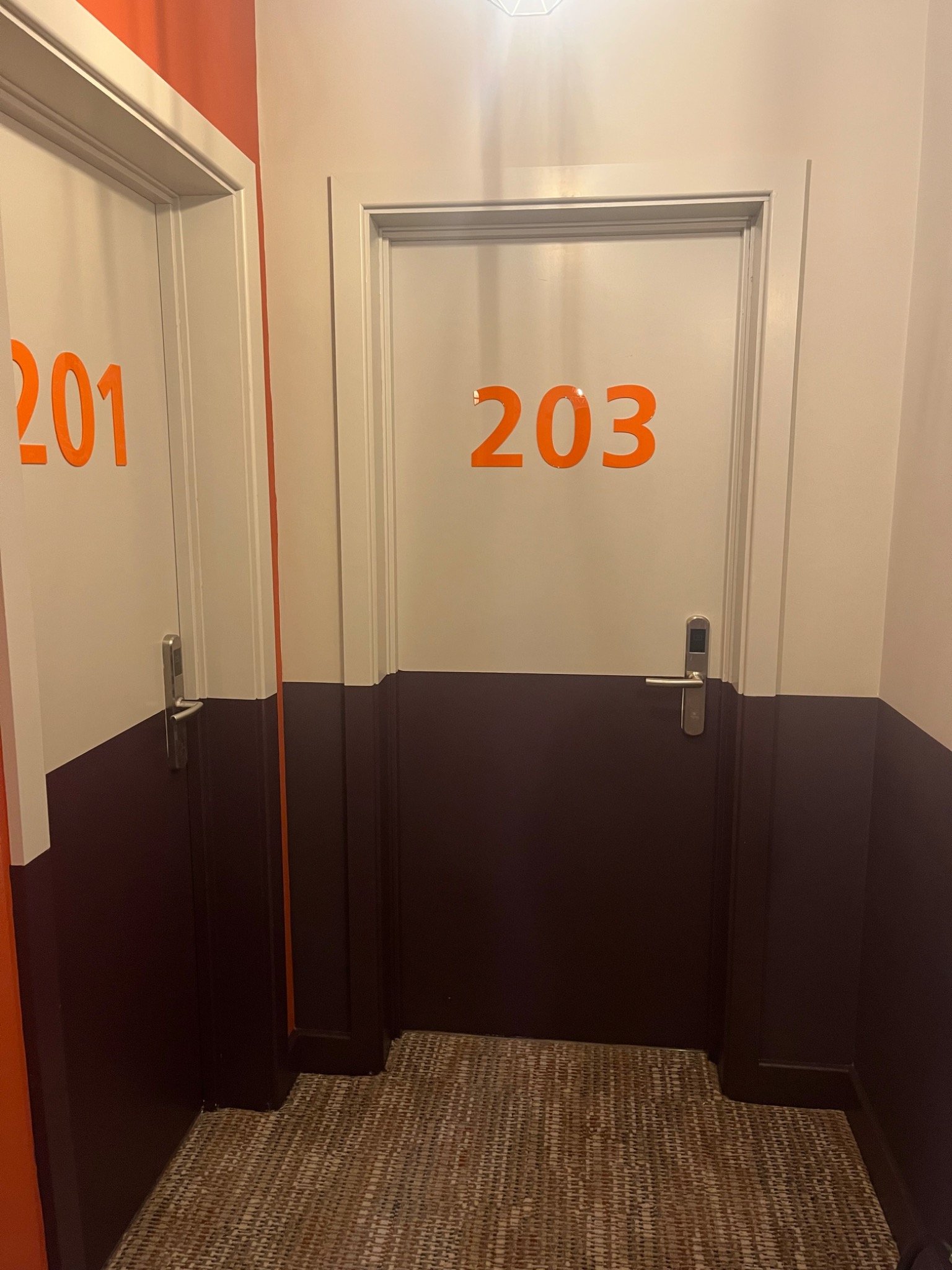 Freshly painted hallway with rooms 201 and 203 doors